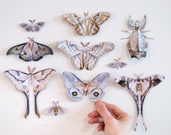Realistic Paper Butterflies, Double-sided, Butterfly Paper-cut Craft Cutouts - &quot;The Antiquarian Collection&quot; 10 Piece Set
