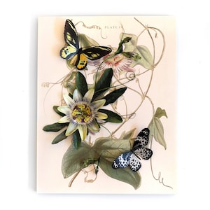 Paper Passion Flower, Realistic Double-sided Print, Paper-cut Flower and Butterfly Cutouts - "Passion Flower Kit"