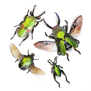 Realistic Foil Embellished Beetles, Double-sided, Paper-cut Craft Cutouts - "Undergrowth" - 4 Piece Set