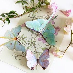 Realistic Paper Luna Moth, Double-sided, Faux Butterfly Papercut Craft Cutouts Spring Luna Moths and Morpho Butterflies 3 Piece Set image 8