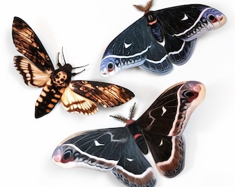 Dark Realistic Paper Moths, Double-sided, Butterfly Paper-cut Craft Cutouts, Faux Deathhead Hawkmoth - &quot;Winter&quot; 3 Piece Set