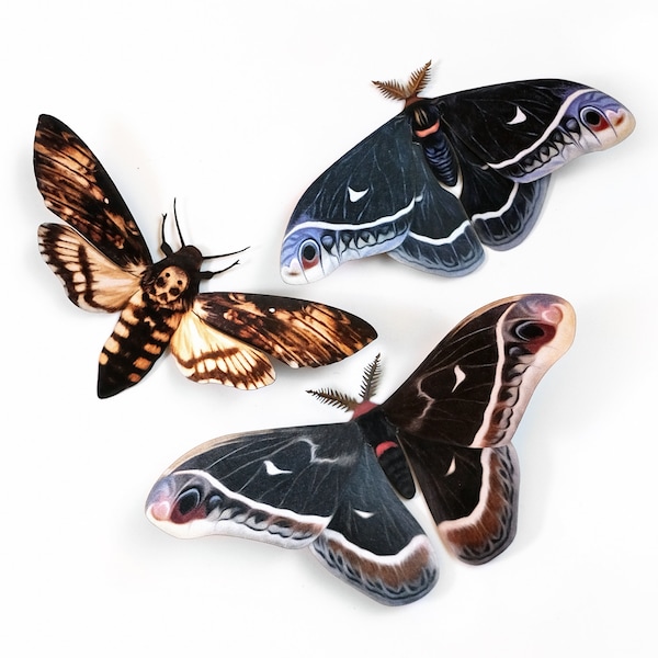 Dark Realistic Paper Moths, Double-sided, Butterfly Paper-cut Craft Cutouts, Faux Deathhead Hawkmoth - "Winter" 3 Piece Set