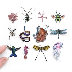 Tiny Paper Creatures Insects and Marine Life, Realistic Double-Sided Print, Mini Paper Cut Animals Craft Cutouts - "Biophilia" 12 Piece Set