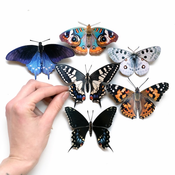 Realistic Paper Butterfly, Double-Sided, Painted Lady, Faux Swallowtail Butterfly, Paper-cut Craft Cutouts - "Woodland" 6 Piece Set