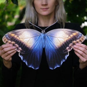 May include: A large, blue and brown butterfly with intricate patterns on its wings. The butterfly is held in front of a person's chest.