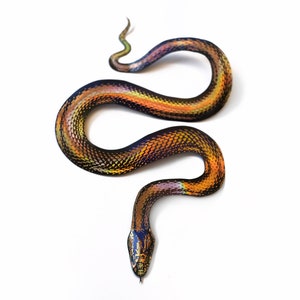 SALE -Realistic Foil Embellished Paper Snake, Double-sided, Holographic Gold Rainbow Snake Paper-cut Craft Cutouts - "Goddess" - 1 Piece Set