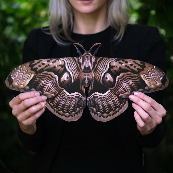 Halloween - Realistic Giant Paper Moth, Double-sided, Butterfly Paper-cut Craft Cutouts - Giant Owl Moth
