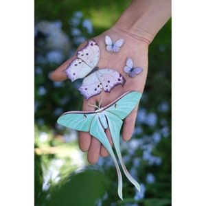 Pastel Realistic Paper Moth, Double-sided, Butterfly Paper-cut Craft Cutouts Hyacinth Dubernardi Moon Moth 4 Piece Set image 2