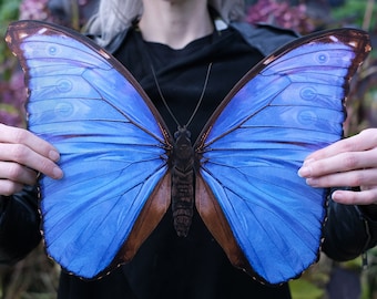 Realistic Giant Paper Blue Godarti Morpho Butterfly, Double-sided, Butterfly Paper-cut Craft Cutouts - Giant Morpho 15.6"