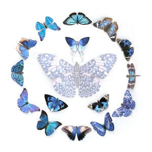 Peut inclure: Une tasse en céramique blanche avec une anse noire et le texte "But First, Coffee" dans un style manuscrit. La tasse est posée sur une surface blanche. La tasse mesure environ 10 cm de haut.