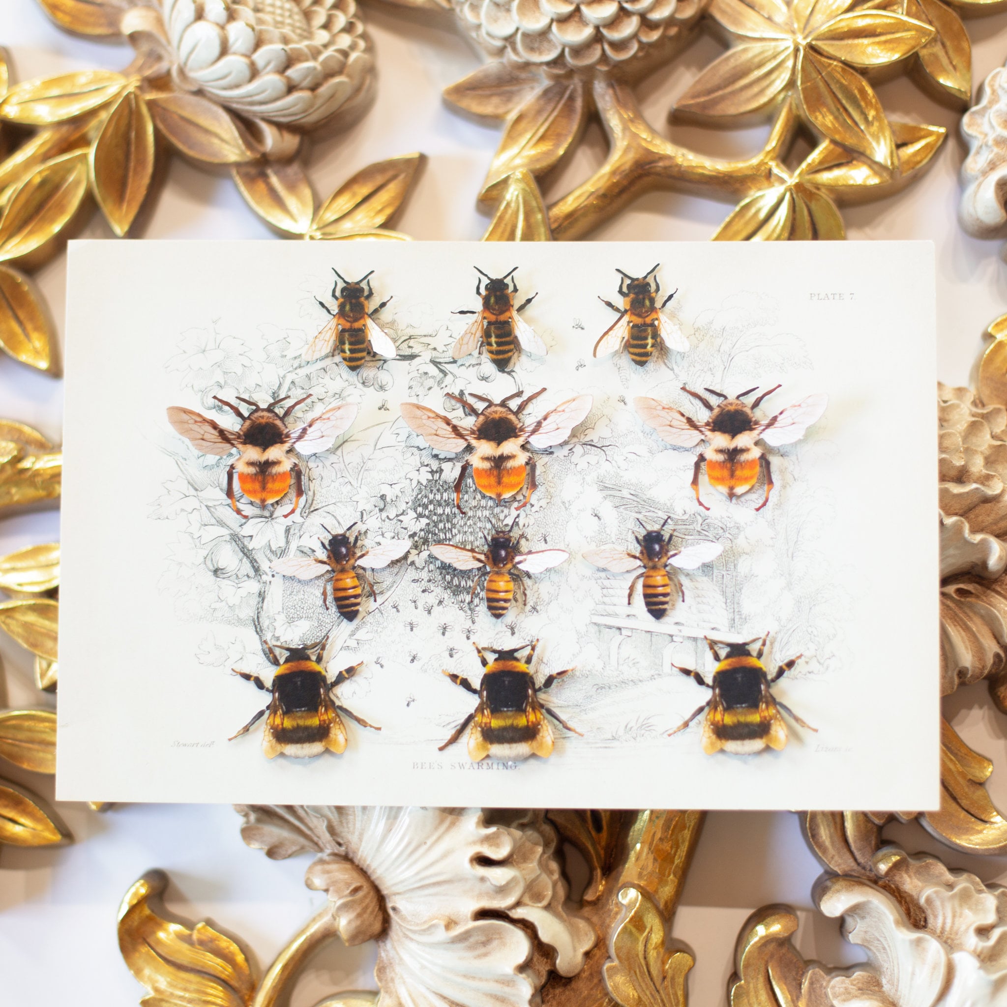 Realistic Paper Bees, Double-sided, Honeybee Paper-cut Craft