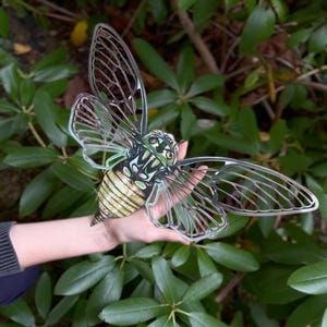 Giant Paper Cicada, Double-Sided Lasercut Craft (17 inch)