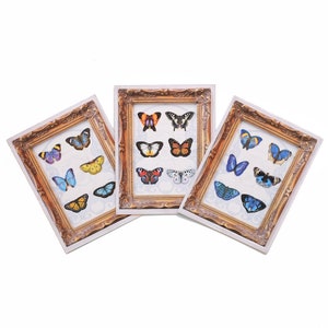 Mini Butterfly Cutout 'Pop-Out' Greeting Cards - Set of 3 Blank Cards