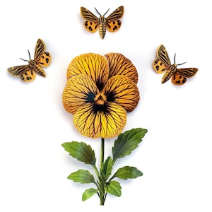 Viola botanica di carta colorata e realistica, falene di carta bifacciali - Piccola falena tigre vergine e viola occhio di tigre, set da 4 pezzi
