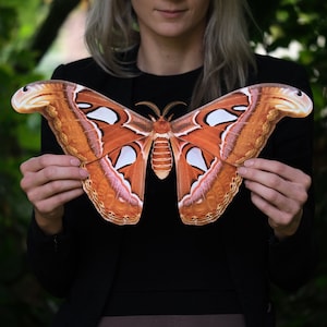 Giant Paper Atlas Moth for Halloween, Double-sided Butterfly Paper-cut Craft Cutouts, Spooky Decoration