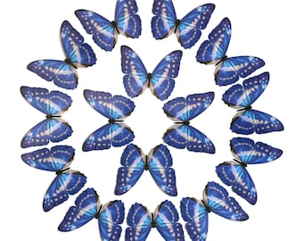 Paper Blue Morpho Butterflies, Realistic Double-sided Print, Faux Butterfly Decorations, Paper-cut Craft Cutouts - 15 Piece Set