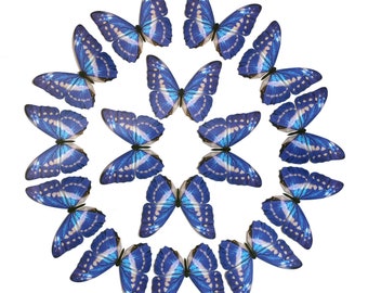 Papier Blaue Morpho Schmetterlinge, realistischer Druck, Bastelausschnitte - 15-teiliges Set