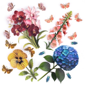 Farbenfrohe realistische Papier-Botaniken, doppelseitige Papierinsekten - Die Eco-Kollektion - Die Flutter- und Flora-Serie 18-teiliges Set