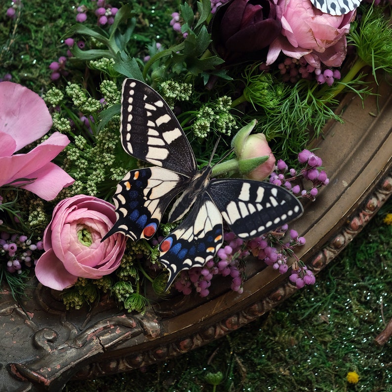 Realistic Paper Butterfly, Double-sided, Butterfly Paper-cut Craft Cutouts Apollo 3 Piece Set 画像 5