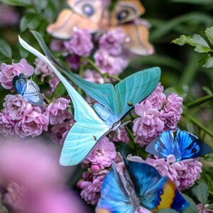 Pastel Realistic Paper Moth, Double-sided, Butterfly Paper-cut Craft Cutouts Hyacinth Dubernardi Moon Moth 4 Piece Set image 4