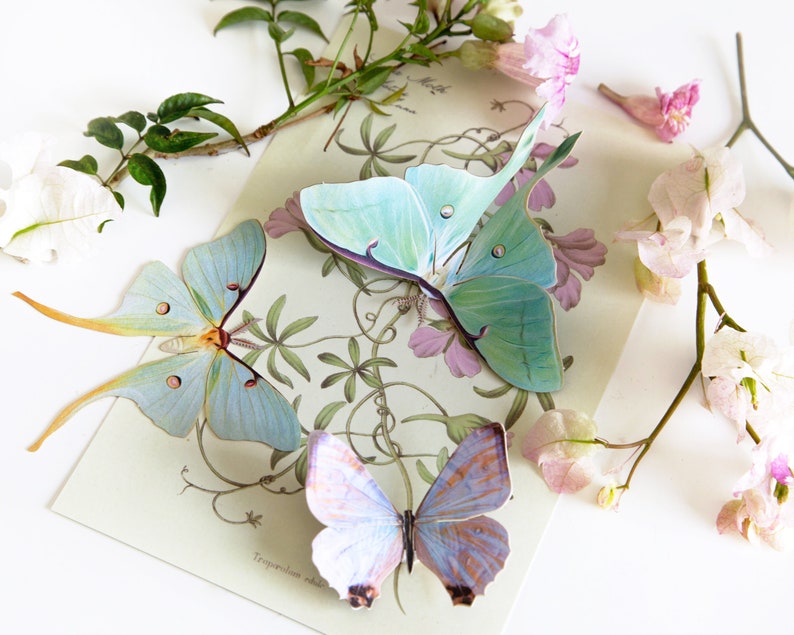Realistic Paper Luna Moth, Double-sided, Faux Butterfly Papercut Craft Cutouts Spring Luna Moths and Morpho Butterflies 3 Piece Set image 8