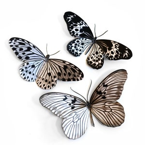 Realistic Paper Butterfly, Double-sided, Butterfly Paper-cut Craft Cutouts - "Marble" - 3 Piece Set