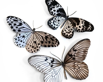 Realistic Paper Butterfly, Double-sided, Butterfly Paper-cut Craft Cutouts - "Marble" - 3 Piece Set