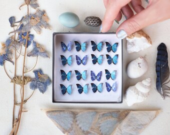 17x Realistic Micro Paper Morpho Butterfly, Double-Sided, Tiny Paper Cut Butterfly Craft Cutouts - "Cerulean" Micro Butterfly 17 Piece Set