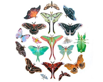 Realistic Paper Moths, Double-Sided, Faux Butterfly, Paper-Cut Decorations - &quot;The Specimen Collection” 19 Piece Set