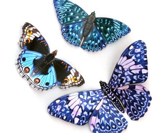May include: Three blue butterflies with intricate patterns and vibrant colors. The butterflies are arranged in a triangular formation on a white background.