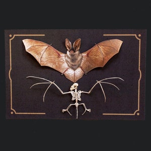 Papierowy nietoperz i szkielet nietoperza na Halloween, realistyczne dwustronne, wycinane z papieru elementy - „Nocturne” Wunderkammer - zestaw 2 elementów