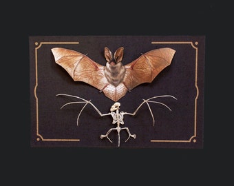 Paper Bat & Bat Skeleton for Halloween, Realistic Double-sided, Paper-cut Craft Cutouts - "Nocturne" Wunderkammer - 2 Piece Set