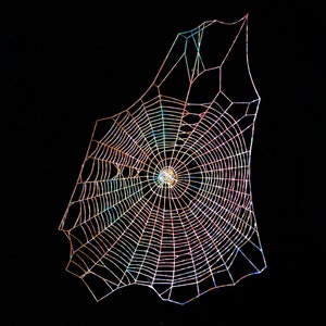 Realistisches holografisches Spinnennetz für Halloween, Papierschnitt, Vinyl Holo Spinnennetz