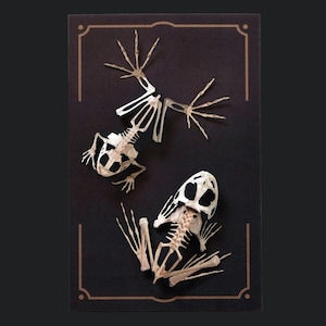 Squelettes de grenouille en papier réalistes, recto-verso, découpes artisanales en papier - Wunderkammer « Fen » - Reliques - Ensemble de 2 pièces