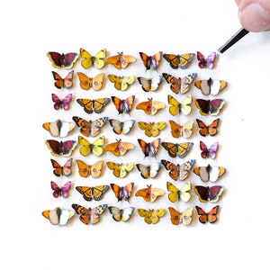 48x Teeny Tiny Realistische Papierschmetterlinge, doppelseitig, Winzige Warme Papierschnitt Schmetterling Handwerk Ausschnitte - 'Sunbeam' Teeny Tinies Set