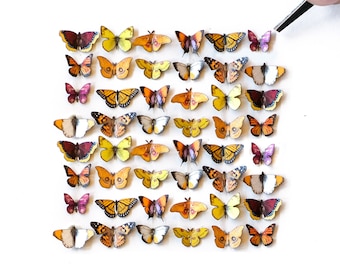 48x Teeny Tiny Realistic Paper Butterflies, Double-Sided, Tiny Warm Paper Cut Butterfly Craft Cutouts - 'Sunbeam' Teeny Tinies Set