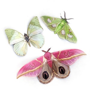 "Pinke und grüne realistische Papiermotten, doppelseitig, Schmetterlings-Papierschnitt-Handwerksausschnitte - ""Limelight"" Pastell-Kunstmotten-3-teiliges Set."