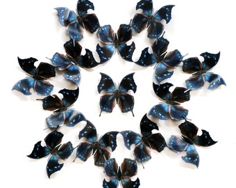 Large Black Butterflies for Halloween, Realistic Paper Double-sided, Faux Butterfly, Craft Cutouts - “Hatchet Butterfly' 15 Piece Set