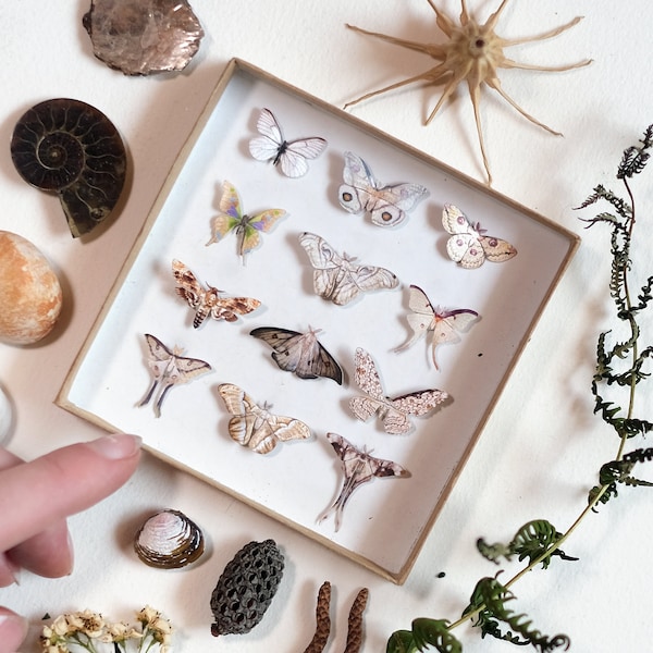 Miniature Butterfly - Etsy