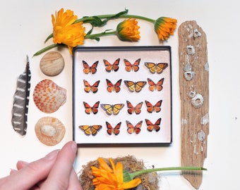 17x Realistic Micro Paper Monarch, Double-Sided, Tiny Paper Cut Butterfly Craft Cutouts - "Marmalade" Micro Monarch Butterfly 17 Piece Set