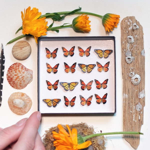 17x Realistic Micro Paper Monarch, Double-Sided, Tiny Paper Cut Butterfly Craft Cutouts - "Marmalade" Micro Monarch Butterfly 17 Piece Set
