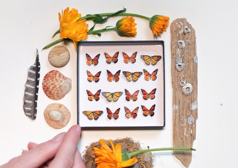 17x Realistic Micro Paper Monarch, Double-Sided, Tiny Paper Cut Butterfly Craft Cutouts Marmalade Micro Monarch Butterfly 17 Piece Set image 1