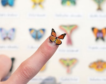 Tiny Rainbow Paper Butterflies, Realistic Double-Sided Print, Miniature Paper Cut Butterfly Craft Cutouts - &quot;Tulip&quot; 15 Piece Set