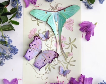 Pastel Realistic Paper Moth, Double-sided, Butterfly Paper-cut Craft Cutouts - "Hyacinth" Dubernardi Moon Moth - 4 Piece Set