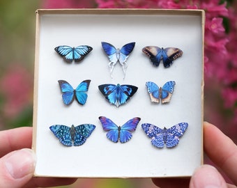 Tiny Blue Paper Butterflies, Double-Sided Realistic Print, Miniature Paper Cut Butterfly Craft Cutouts - "Galaxy" Micro 15 Piece Set