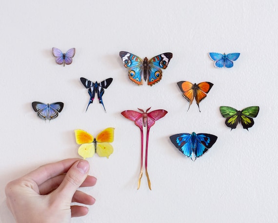 Realistic Paper Butterflies, Double-sided, Butterfly Paper-cut Craft  Cutouts little Wonders 10 Piece Set 