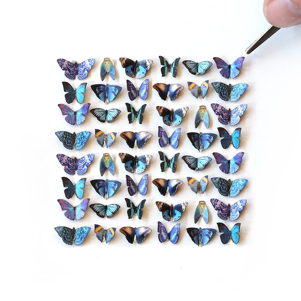 48x Teeny Tiny realistische papieren vlinders, dubbelzijdig, Tiny Blue Paper Cut Butterfly Craft Cutouts - "Twilight' Teeny Tinies Set