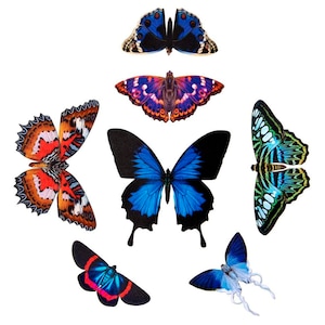 Realistic Paper Butterflies, Double-sided, Faux Butterfly, Paper-cut Cut Craft Cutouts - "Topaz" 7 Piece Set