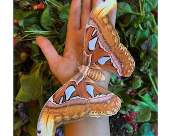 Puede incluir: Una mariposa grande, marrón y blanca con intrincados patrones en sus alas. La mariposa está descansando en la mano de una persona.