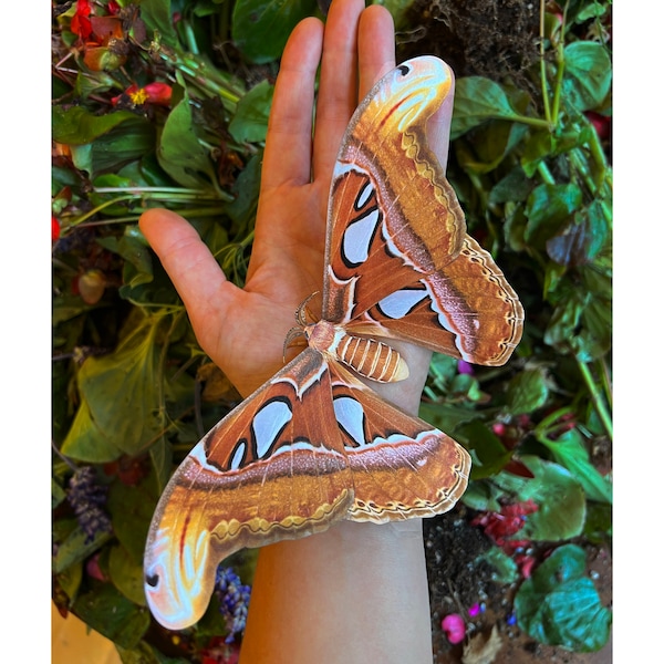 Realistic Paper Atlas Moth, Double-sided, Butterfly Paper-cut Craft Cutouts - Life-Sized Atlas Moth